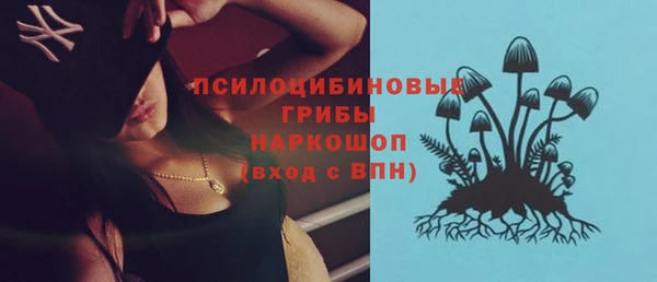 гидра Покровск
