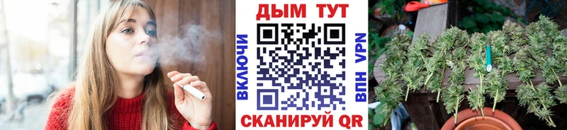 blacksprut зеркало  Старица  Канабис MAZAR 